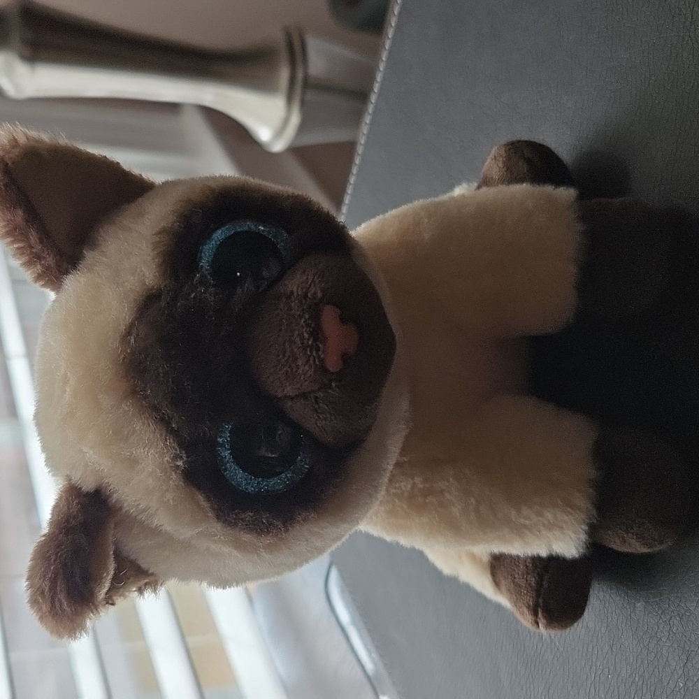 Jaden Siamese cat Ty Beanie baby